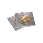 rimsa - guide e manuali - grinta e passione